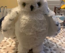 Harry Potter Hedwig Fluffy Teddy