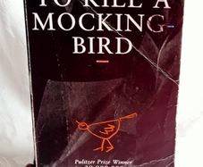 "To Kill a Mockingbird Bird"