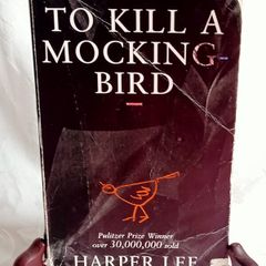 "To Kill a Mockingbird Bird"