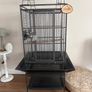 Parrot cage for sale Image 2