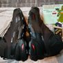 Women's Mid-rise Hiking Boot Salomon, Cross Hike Mid Gore-tex Image 5