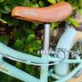 Somerby Pendleton Balance bike Image 8