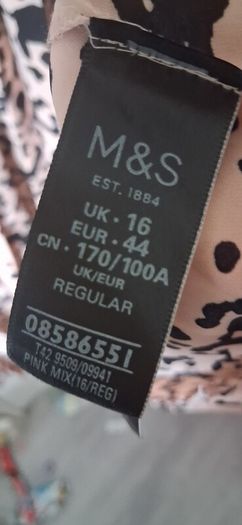 dress size 16