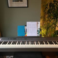 Hemingway DP-201 digital piano and stool