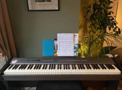 Hemingway DP-201 digital piano and stool