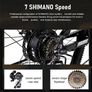 PHILODO H4 Foldable Step-Thru Fat Bike Image 6