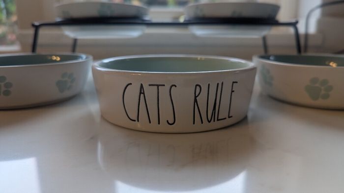 Cat Feeding Station