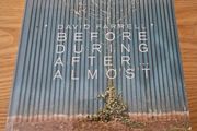 David Farrell: Before, During, After... Almost Irish art book