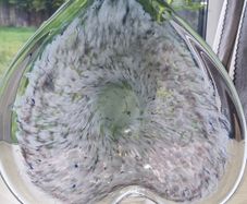 Murano glass plate