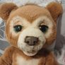 Cubby the curious bear Image 3
