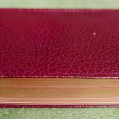 The Book of Common Prayer of the Church of Ireland