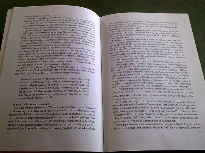 Donamon a history of the castle and its owners Ireland Irish Roscommon history