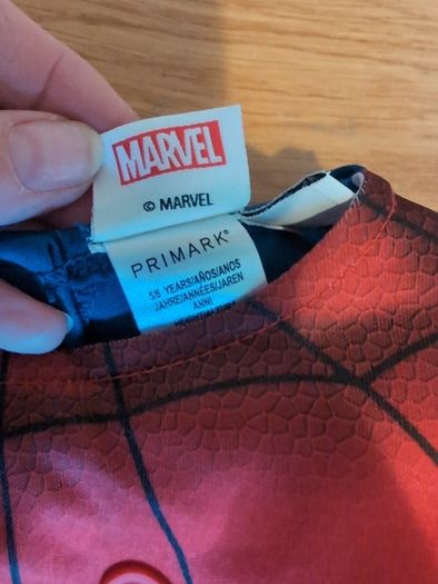 Spiderman costume