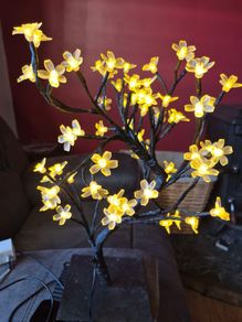 3 LED Lamps