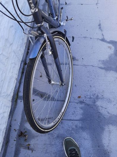 cyc