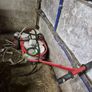 moblie milking machine Image 3