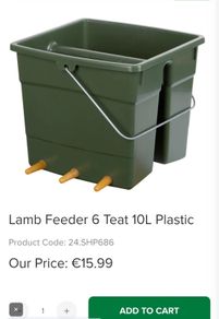 lamb feeder