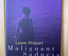 Malignant Sadness: The Anatomy of Depression by Lewis Wolpert