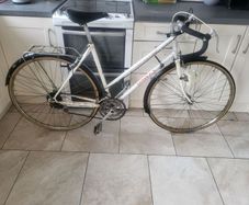 Old dawes bike