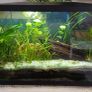 aquarium 50 liters Image 2
