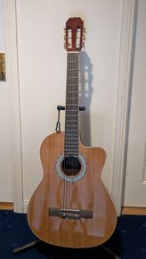 Semi acoustic