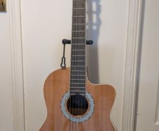 Semi acoustic