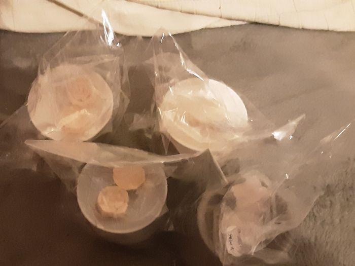 HOME MADE wax melts and wax burner