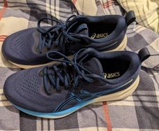 shoes brand new never worn size 10.