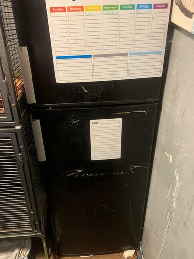 fridge