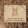 Rabbit feeding set Image 2