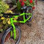 Frog 55 Kids Bike Image 2