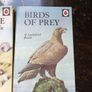 Vintage Ladybird Books- The Seashore and Birds of Prey Image 3