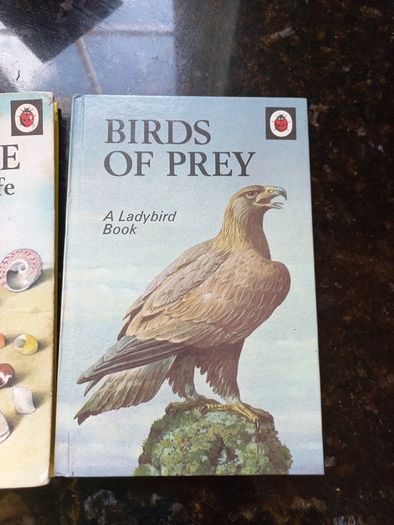 Vintage Ladybird Books- The Seashore and Birds of Prey