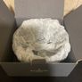 Waterford Crystal Image 10