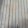 free deck Image 5