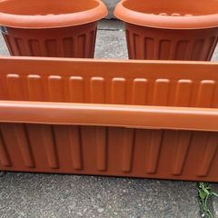 new flower pots