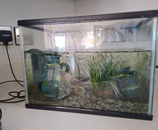 Fish tank