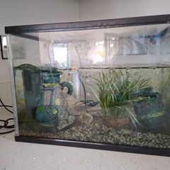 Fish tank