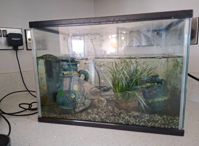 Fish tank