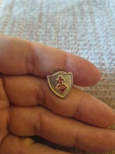 Vintage Pioneer Badge Pin