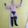 WWE Wrestlers action Figure Image 10