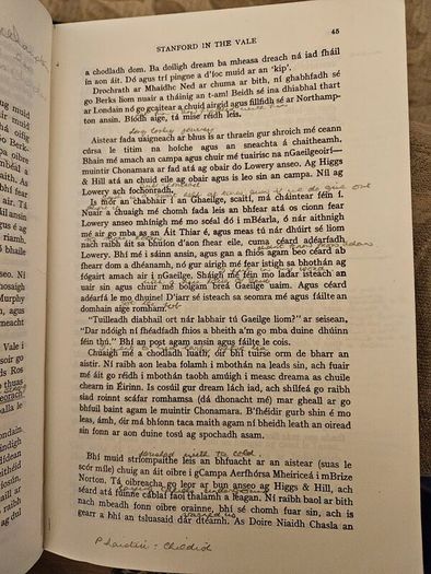 DIALANN DEORAi BY  DONALL Mac Amhlaigh. Vintage 1970 3rd EDITION paperback only in Fair condition.  See photos for condition.