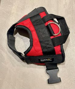 Regatta Reflective Dog Harness size Small