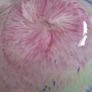 Murano Glass Bowl Image 4
