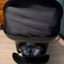Maxi-cosi infant car seat Image 4