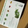 Click and Grow - Smart Garden - New Image 2