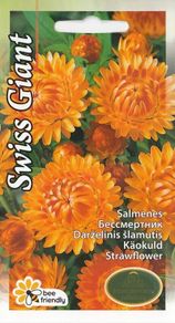 (S) Strawflower Swiss Giant seeds 0.3g (approx. 400 seeds) (415663)
