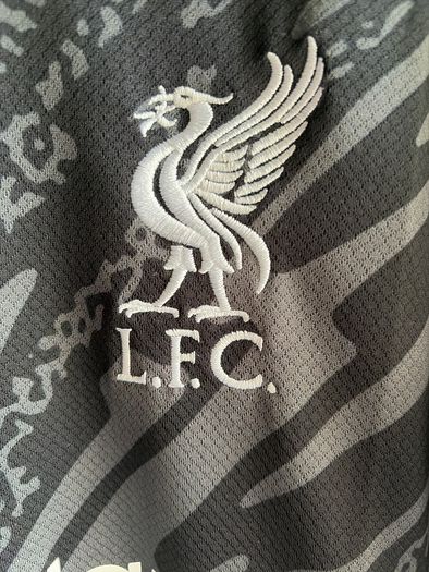Liverpool goalkeeper jersey