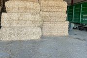 Pre Chopped Straw Bales