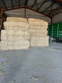 Pre Chopped Straw Bales